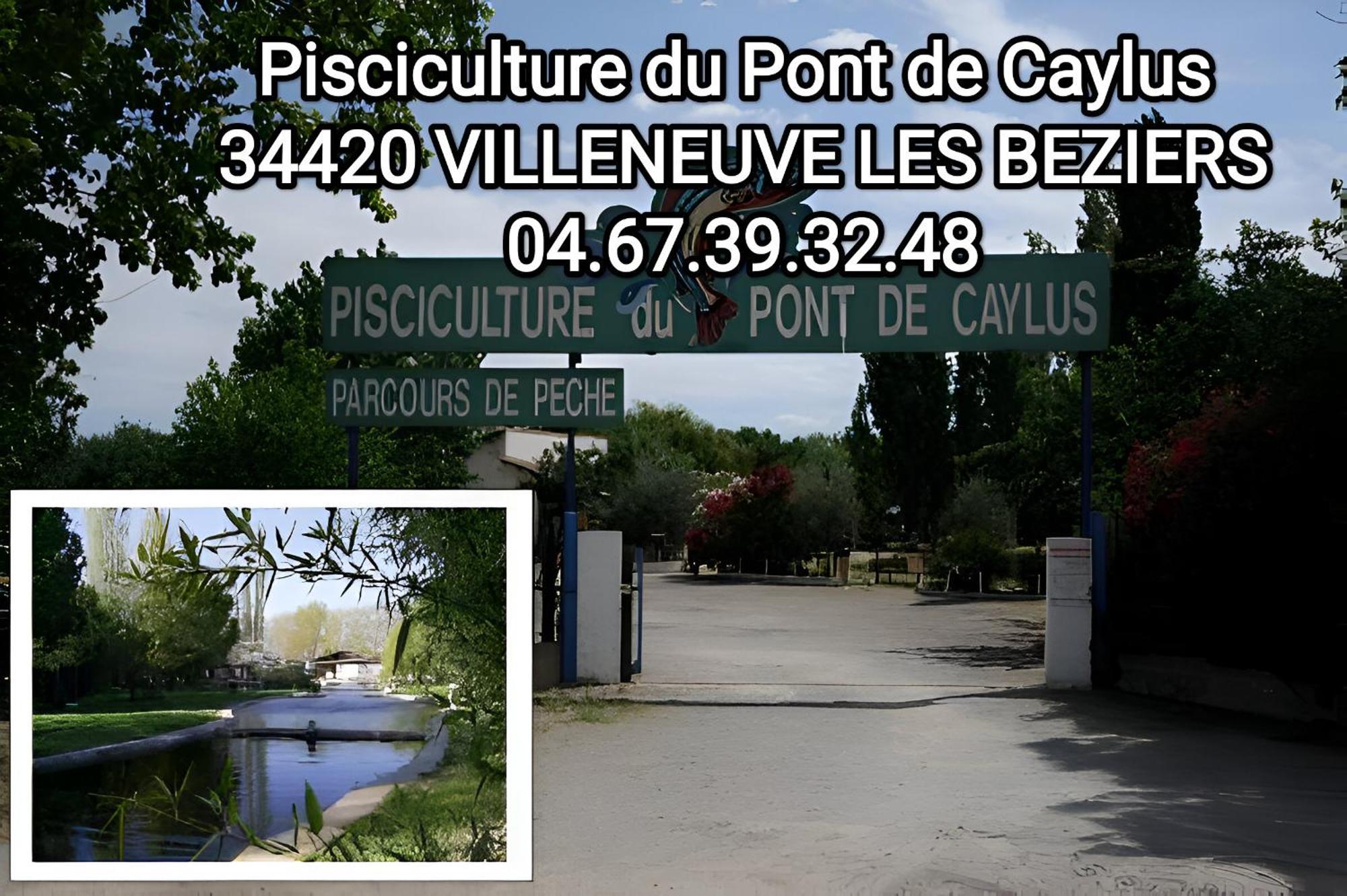 Tiny House 3 Personnes Soeursgrises Beziers Centre Historique Coeur De L'Herault Capitale D'Occitanie ภายนอก รูปภาพ